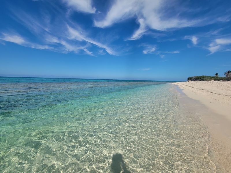 A Living Reef You Can Float Right Over