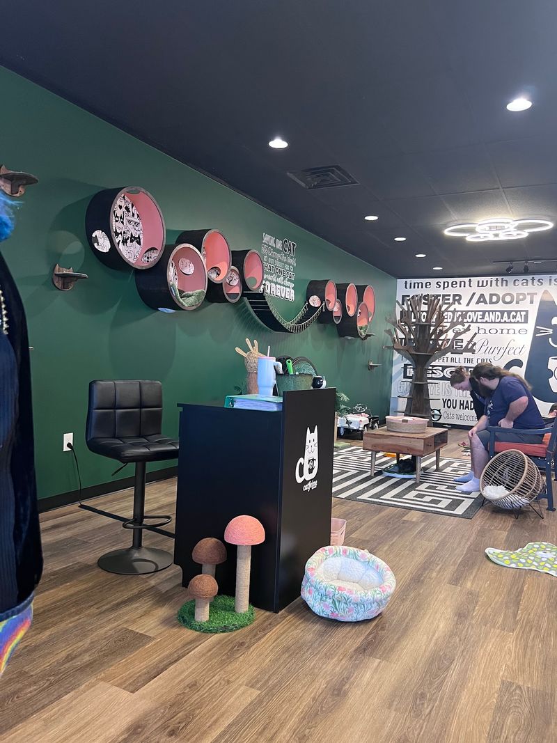 A Lounge Built for Naps and Climbing A Lounge Built for Naps and Climbing