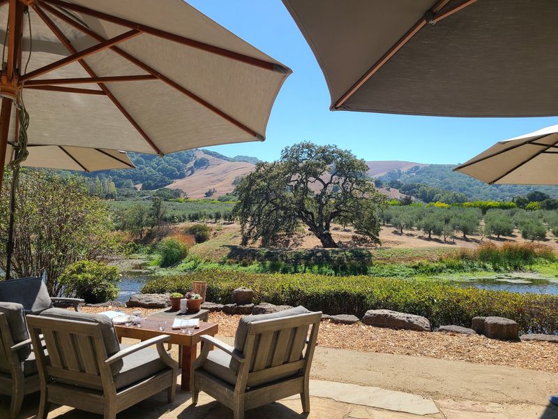 A Lunch With a View A Lunch With a View