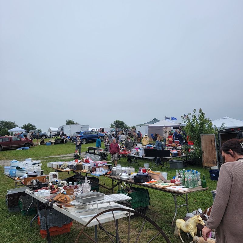A Market With Deep Roots in Wright County