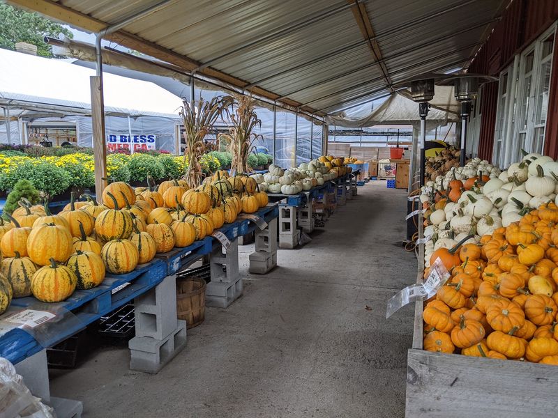 A Market for Every Season A Market for Every Season