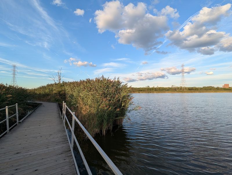 A Meadowlands Park With A Lyndhurst Address A Meadowlands Park With A Lyndhurst Address