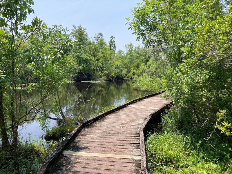 A Mile of Boardwalk Through the Wetlands A Mile of Boardwalk Through the Wetlands