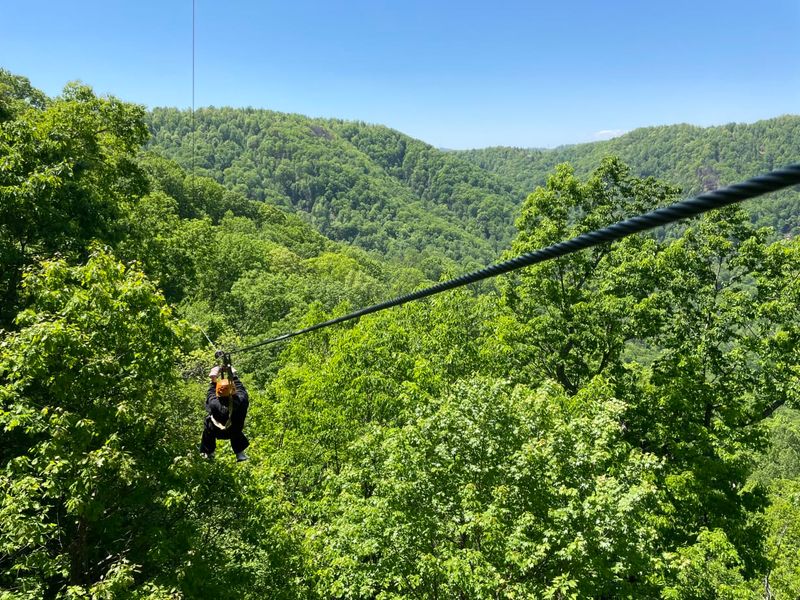 A Mountain Gorge Hideaway in Saluda A Mountain Gorge Hideaway in Saluda