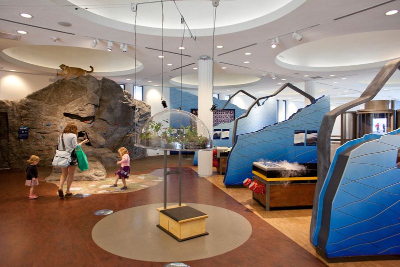 A Museum Built Around Ecology and Wonder
