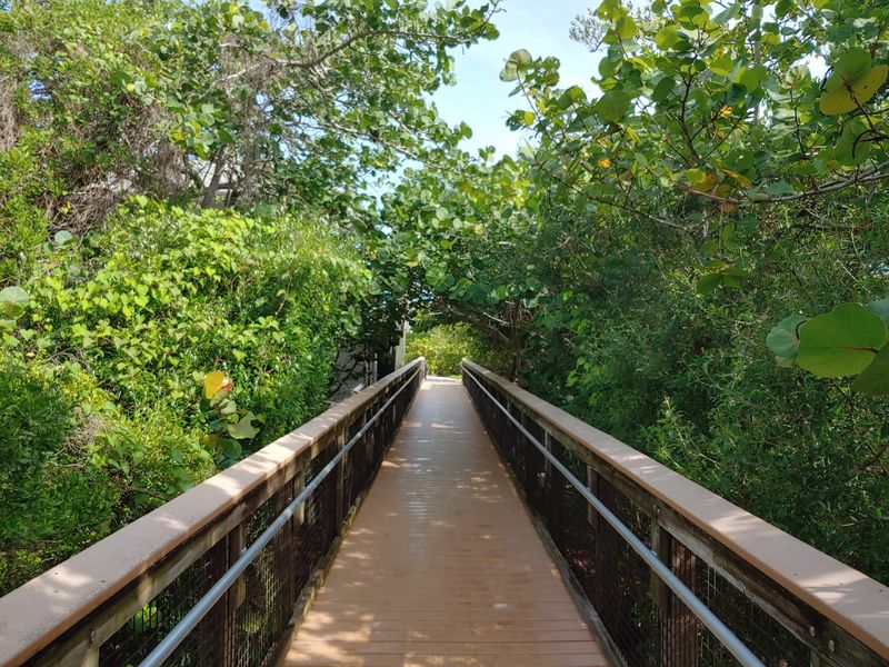 A Nature Trail Through Five Natural Communities