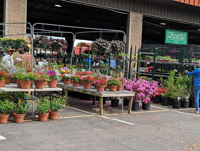 A Nursery Overflowing With Plants and Flowers A Nursery Overflowing With Plants and Flowers