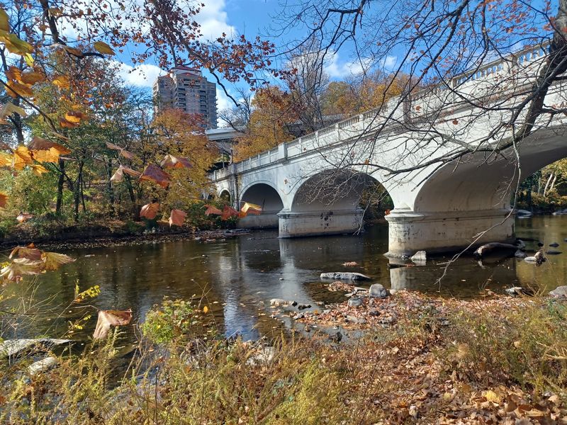 A Park Born in 1886: The Olmsted Connection You Did Not Expect A Park Born in 1886: The Olmsted Connection You Did Not Expect