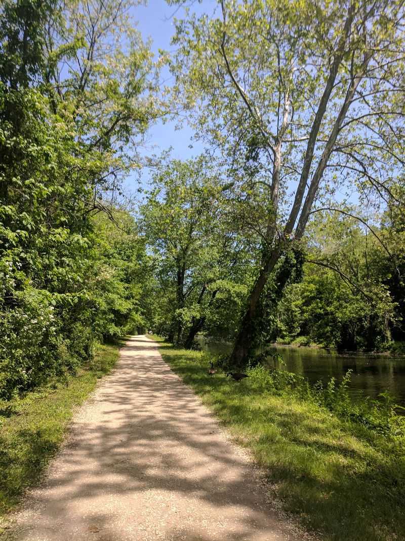 A Path Built For More Than Bikes A Path Built For More Than Bikes
