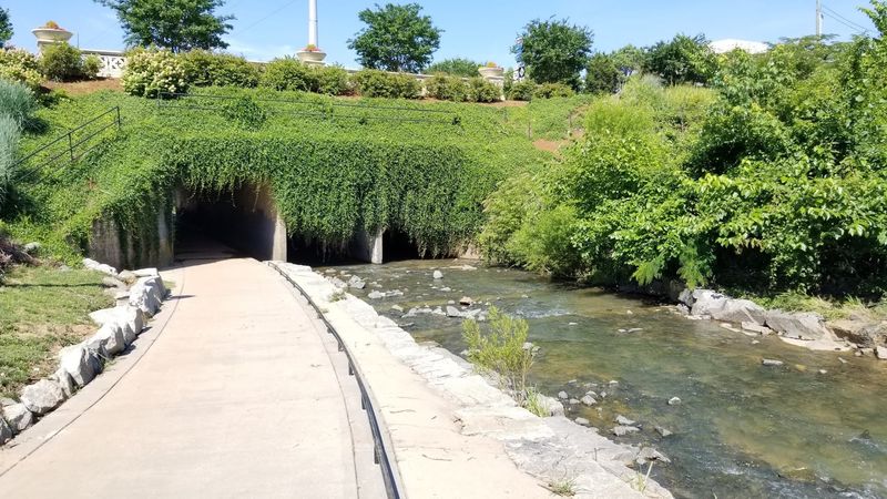 A Path Built for Walkers, Runners, and Cyclists Alike A Path Built for Walkers, Runners, and Cyclists Alike