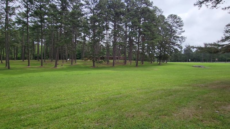 A Peaceful Field With a Powerful Past A Peaceful Field With a Powerful Past