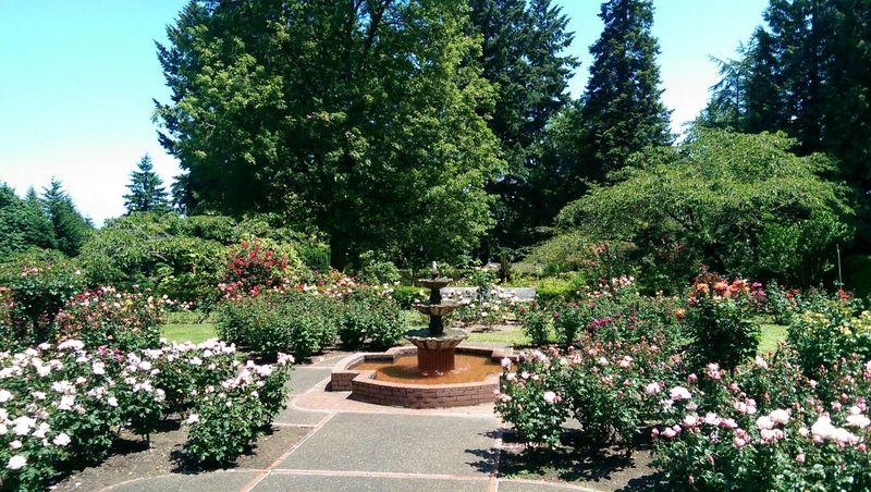 A Peaceful Place to Slow Down