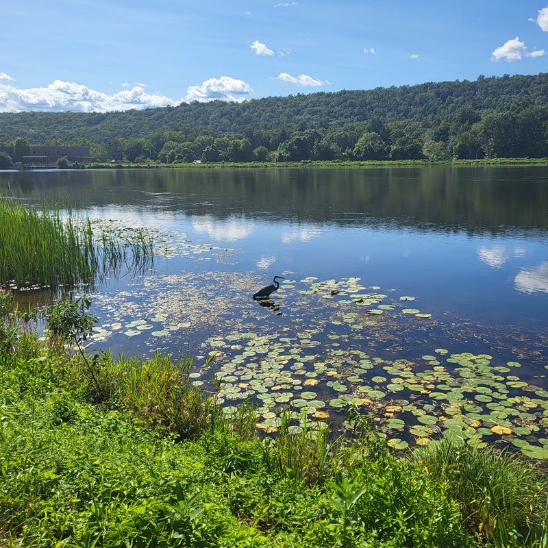 A Peaceful Spot for Photos and Wildlife A Peaceful Spot for Photos and Wildlife