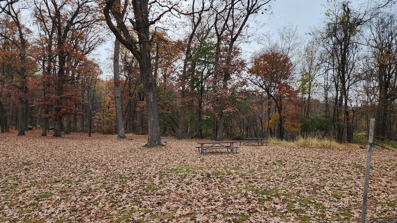 A Picnic Spot With No Big Production A Picnic Spot With No Big Production