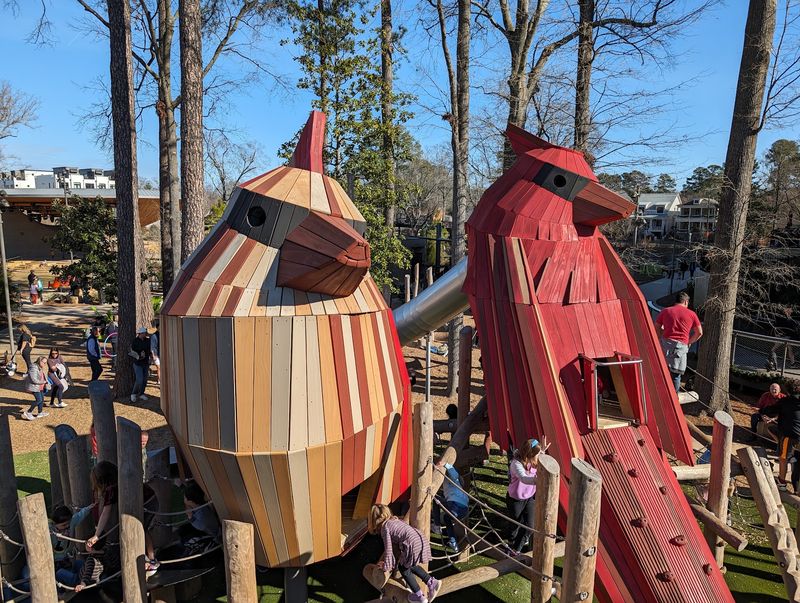 A Playground Shaped Like North Carolina's Birds A Playground Shaped Like North Carolina's Birds