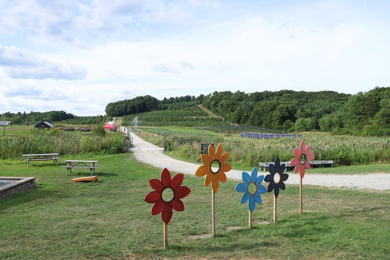 A Playground of Farm Fun for Kids A Playground of Farm Fun for Kids