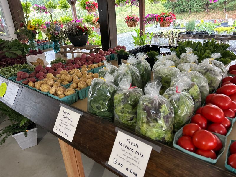 A Produce Selection That Changes With Every Season A Produce Selection That Changes With Every Season