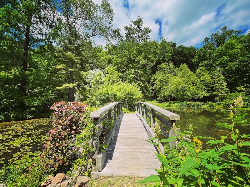 A Public Garden in Far Hills