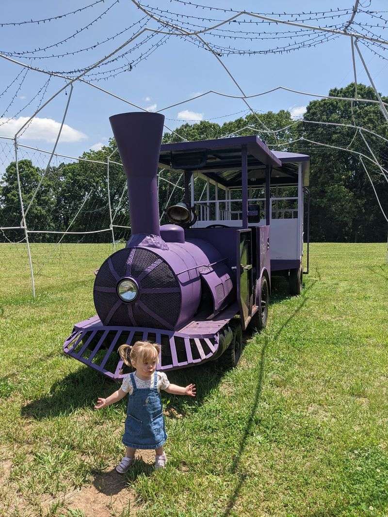A Purple Train, Mini Golf, and Playground Fun