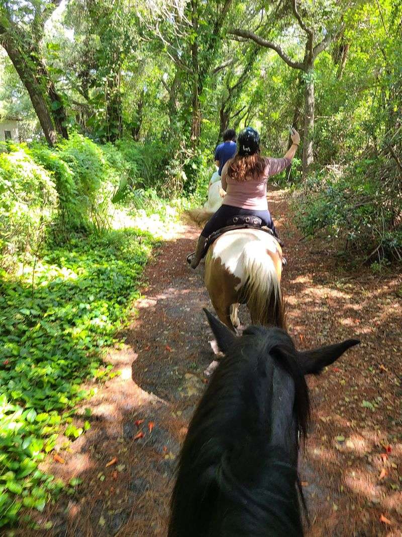 A Quiet Escape Hiding in Pinellas Park