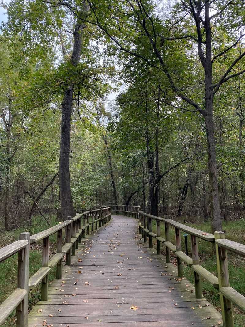 A Quiet Nature Escape in Collierville A Quiet Nature Escape in Collierville