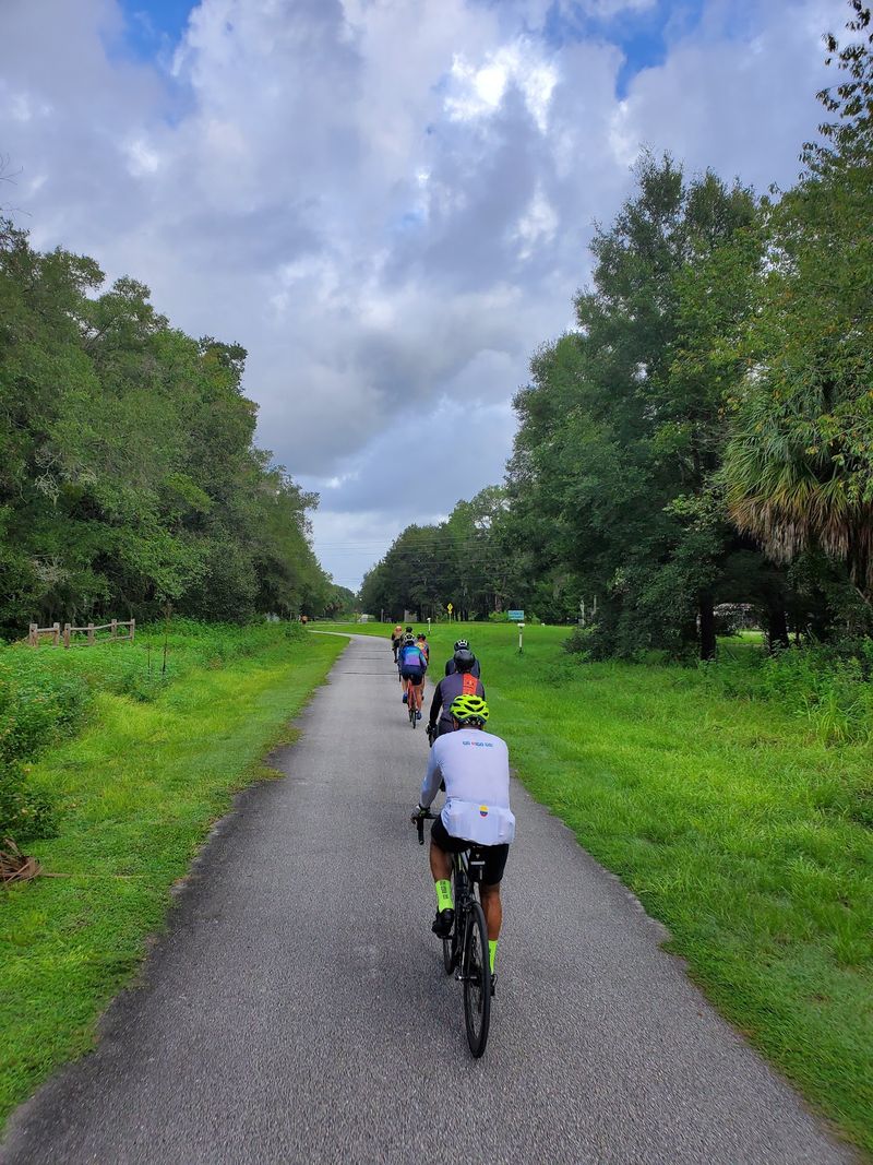 A Railroad Line Reborn As A Path For People A Railroad Line Reborn As A Path For People