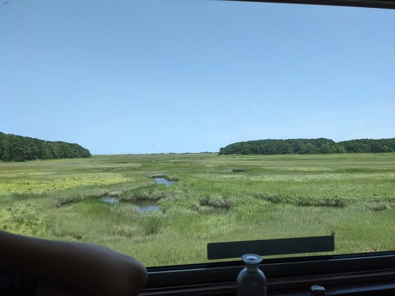 A Relaxing, Camera-Ready Ride