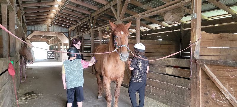 A Rescue Farm With a Big Heart