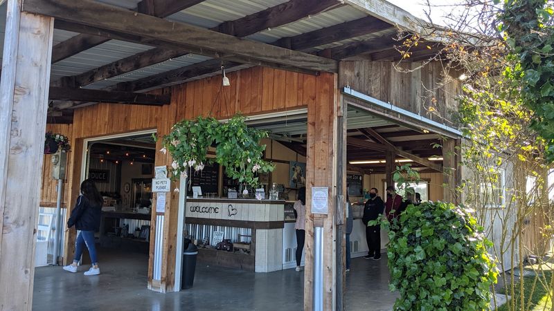 A Roadside Gem on Whidbey Island