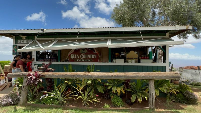 A Roadside Stop On The Slopes Of Kula A Roadside Stop On The Slopes Of Kula
