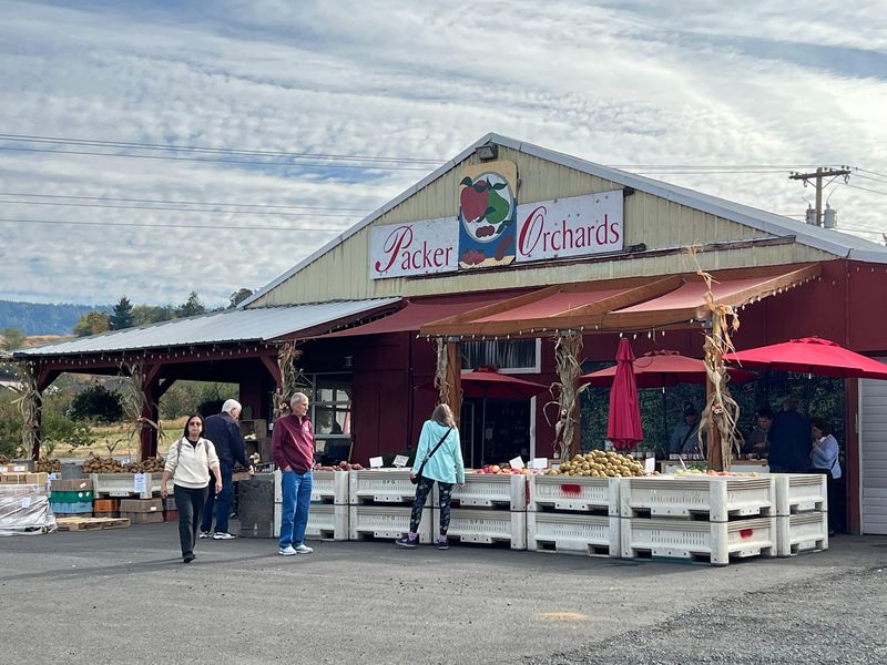 A Roadside Stop on the Mount Hood Scenic Loop A Roadside Stop on the Mount Hood Scenic Loop