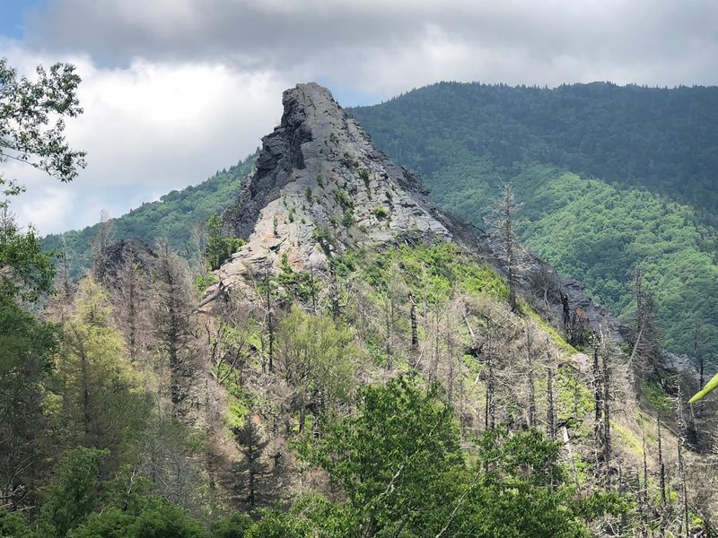 A Rocky Summit in the Heart of the Smokies A Rocky Summit in the Heart of the Smokies