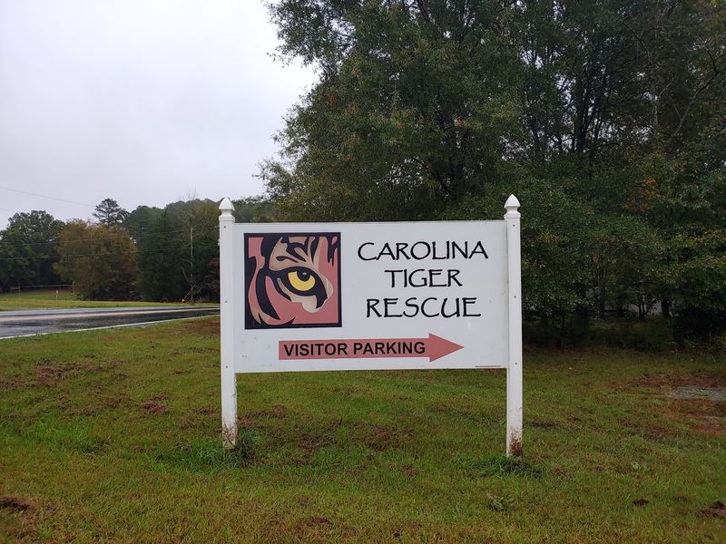 A Sanctuary Tucked Down a Gravel Road in Pittsboro A Sanctuary Tucked Down a Gravel Road in Pittsboro