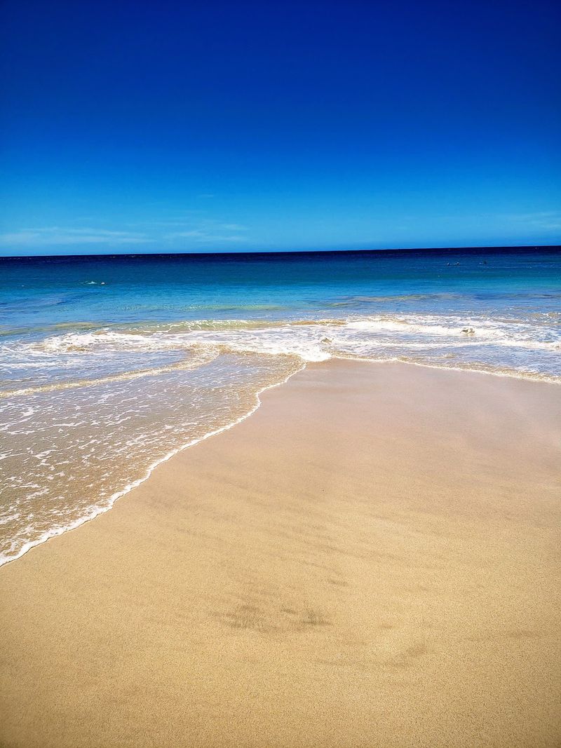 A Sandy Bottom Built for Swimmers