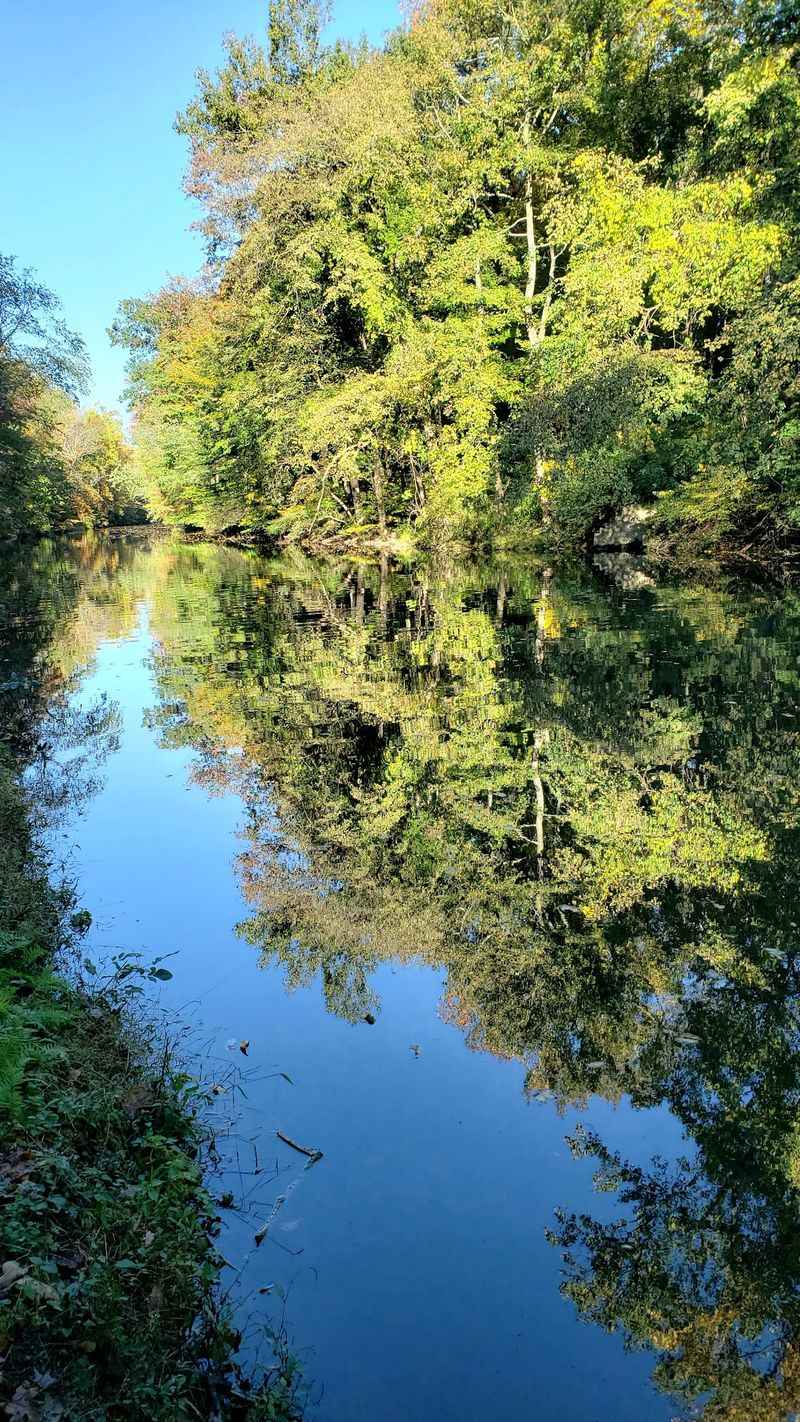 A Scenic Trail Without Overstatement A Scenic Trail Without Overstatement