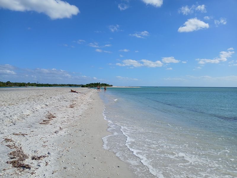 A Secluded Slice of Old Florida on Manasota Key