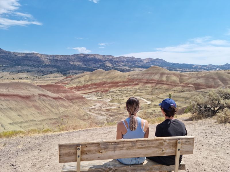A Shady Picnic Oasis in the Dry Country