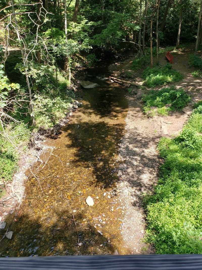 A Shady Picnic Stop by the Water