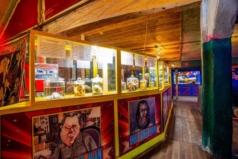 A Sideshow Museum Packed With Things You Cannot Explain A Sideshow Museum Packed With Things You Cannot Explain