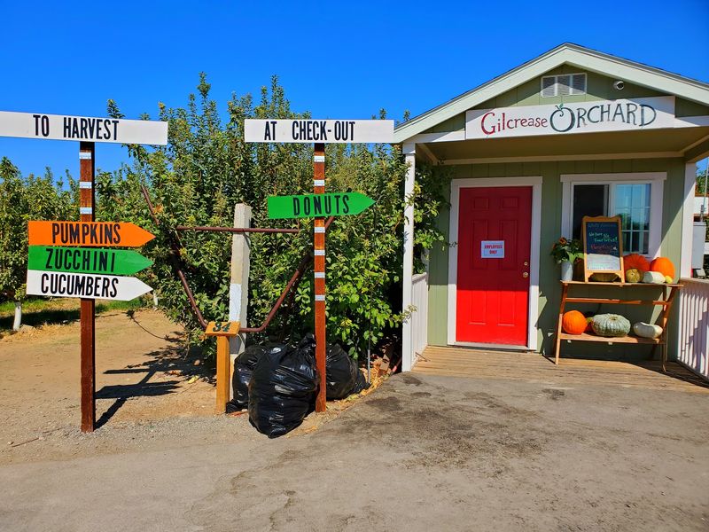 A Slice Of Small-Town Tradition In The Desert A Slice Of Small-Town Tradition In The Desert