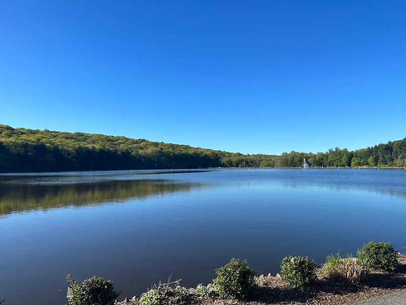 A Soft Verdict For A Park-Once New Jersey Afternoon