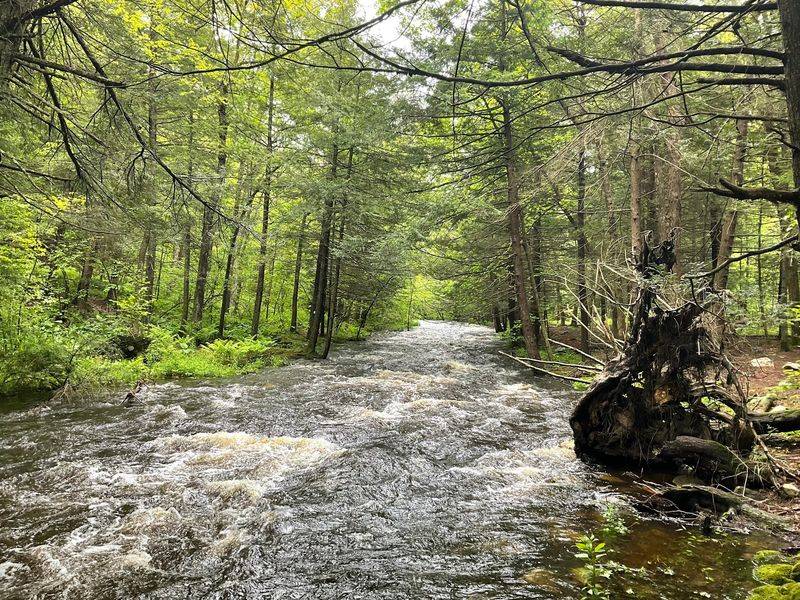 A Soft Verdict For Jug Fillers And Trail Seekers A Soft Verdict For Jug Fillers And Trail Seekers