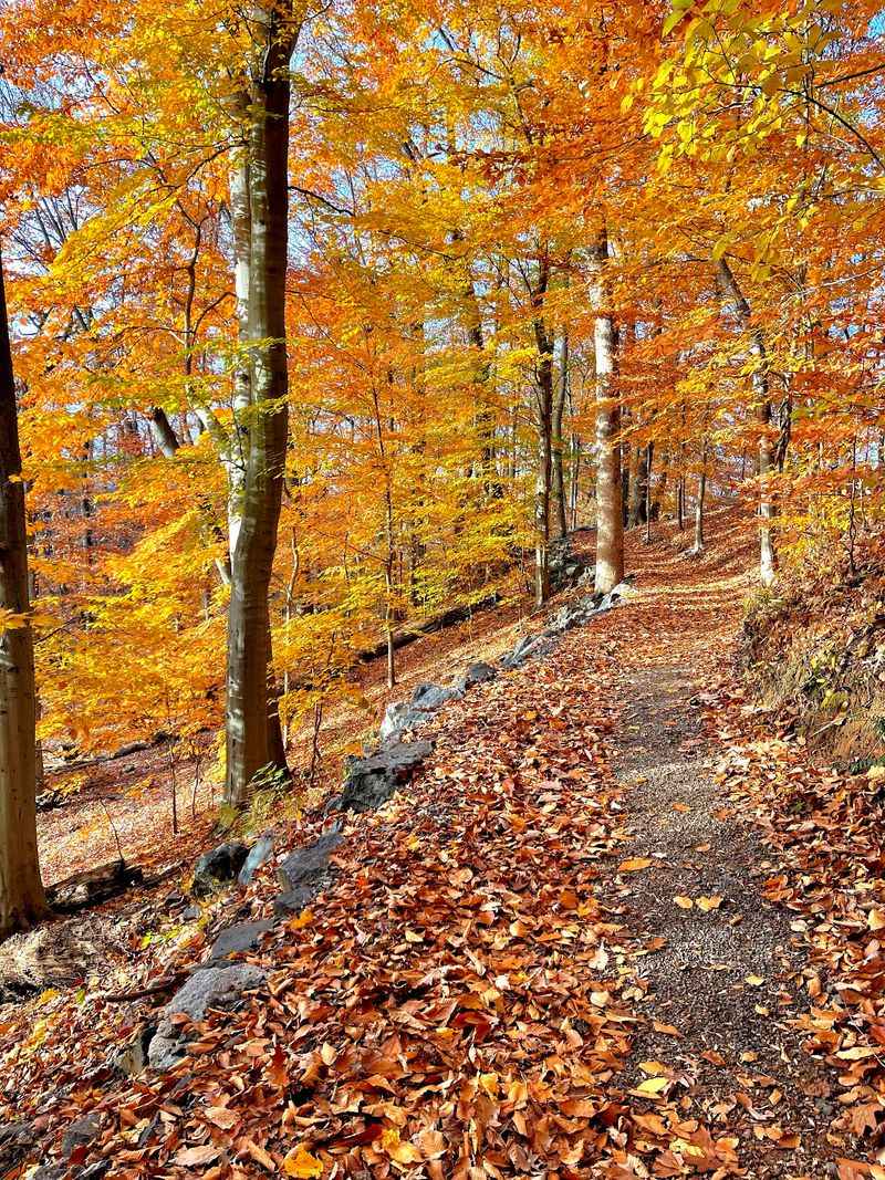 A Soft Verdict For New Jersey Day-Trippers