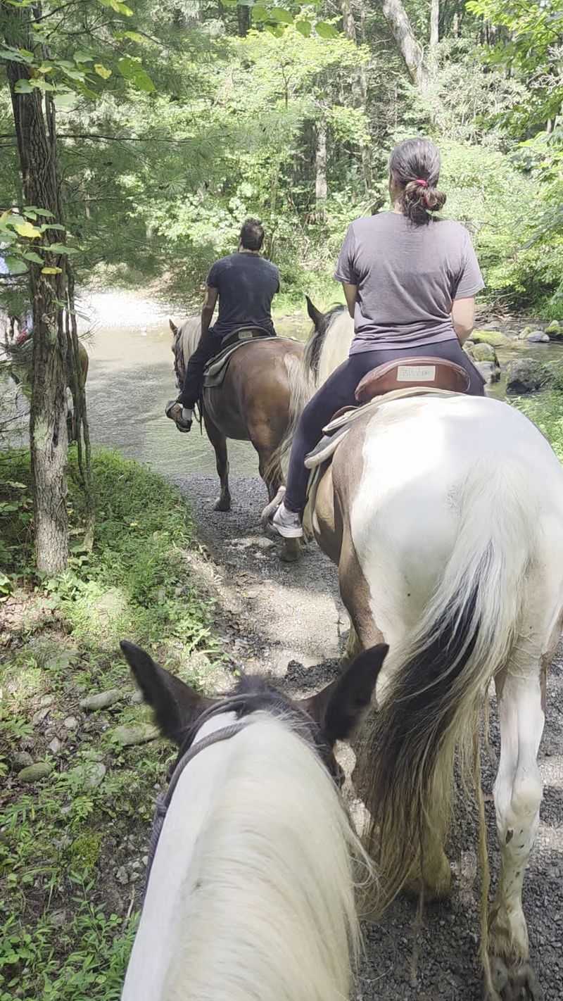 A Soft Verdict From the Saddle A Soft Verdict From the Saddle