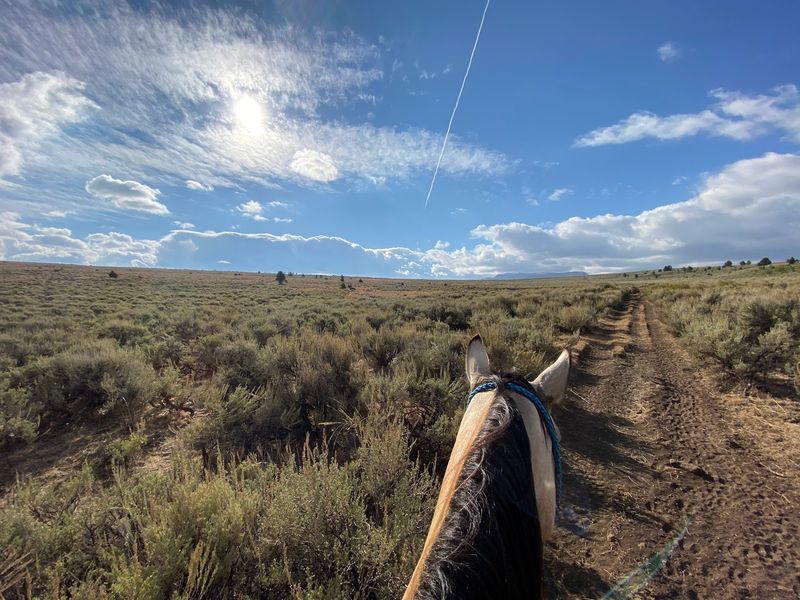 A Soft Verdict From the Saddle