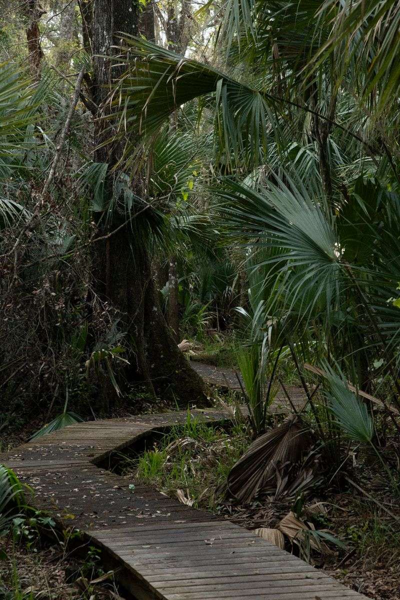A Soft Verdict on Florida's Hidden Ghost Town Walk