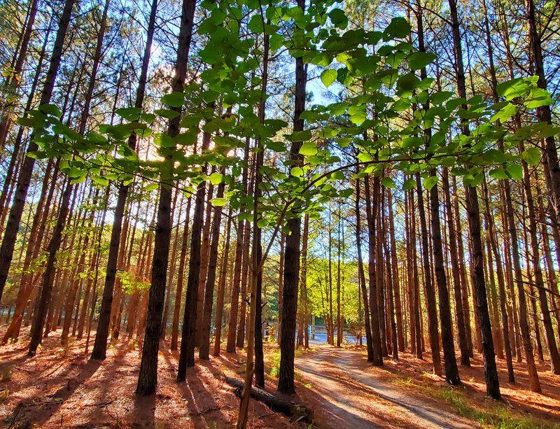 A South Jersey Day Trip Worth Defending