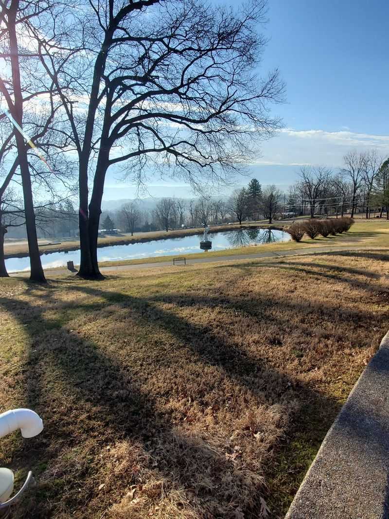 A Spacious Setting For Reflection