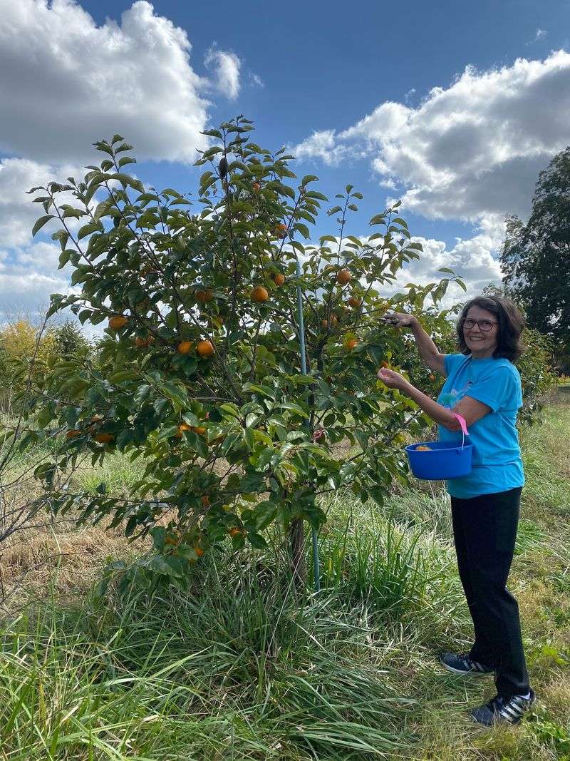 A Specialty Orchard on Frank Perry Road A Specialty Orchard on Frank Perry Road