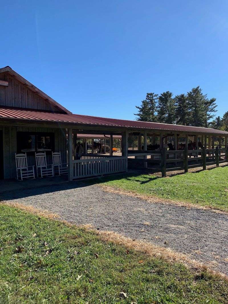 A Stable Tucked Into America's Most Famous Estate